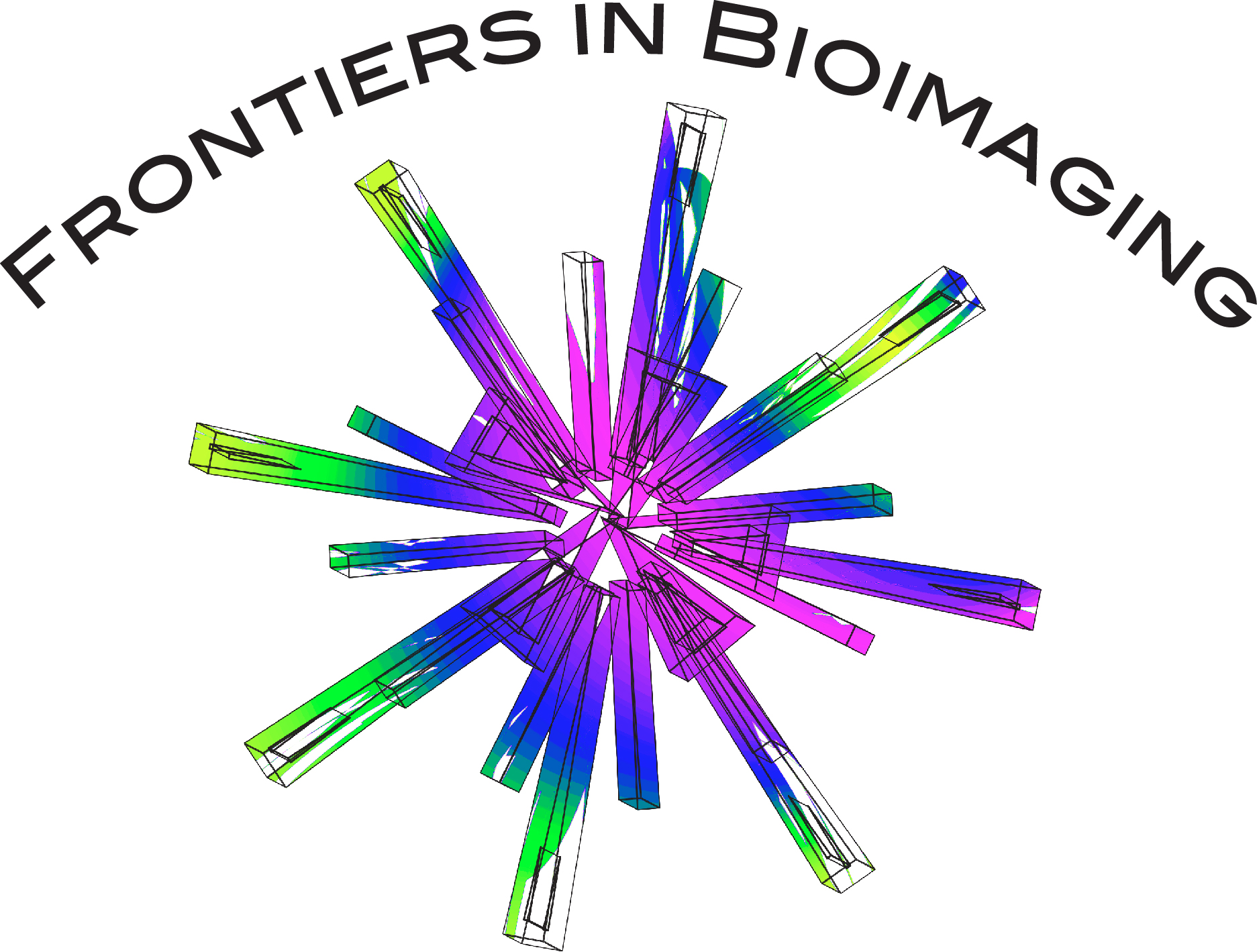 Frontiers in Bioimaging - logo 3.jpg